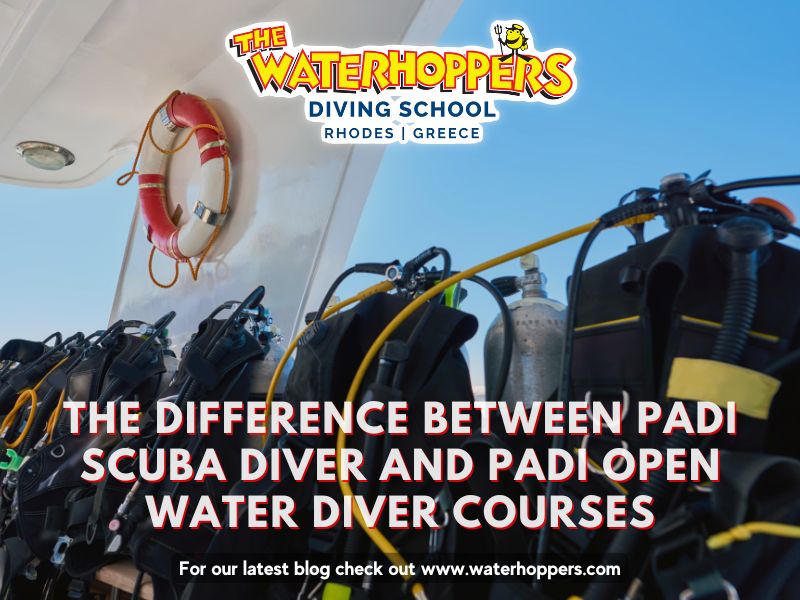 The Difference Between PADI Scuba Diver and PADI Open Water Diver Courses